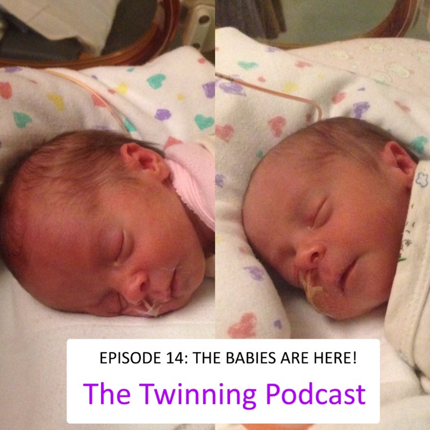 Episode 14: The babies are here!