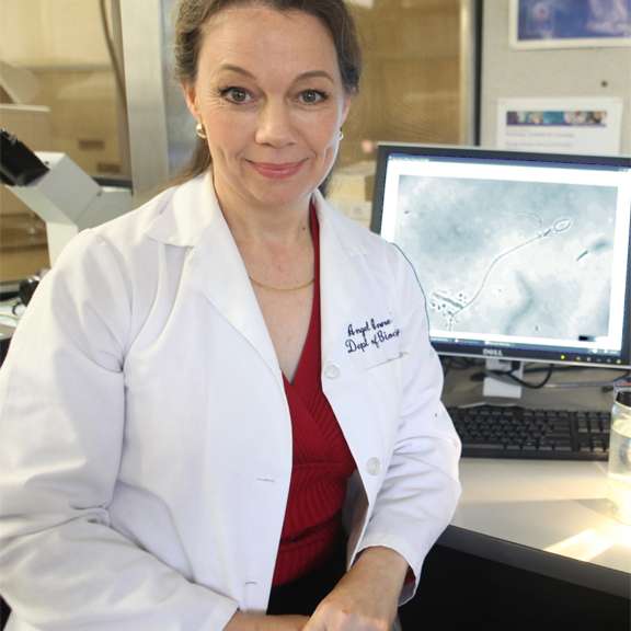 Deep Dive: An Interview with Dr Angel Yanigahara