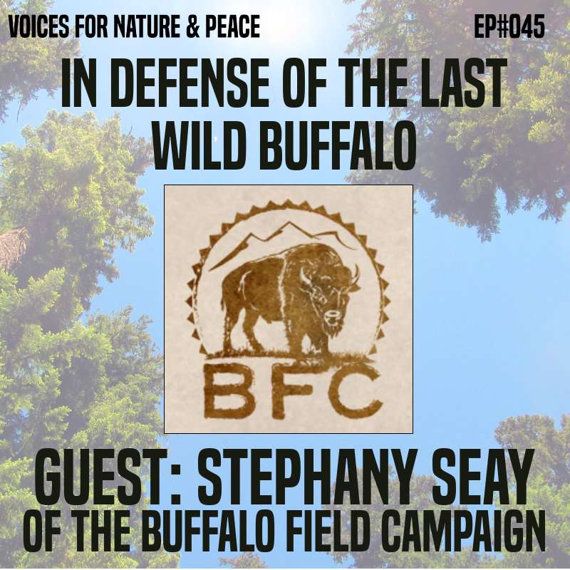 Voices for Nature & Peace