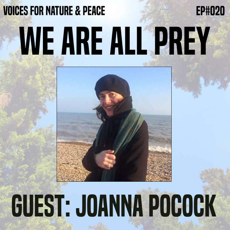 "We Are All Prey" feat. Joanna Pocock.