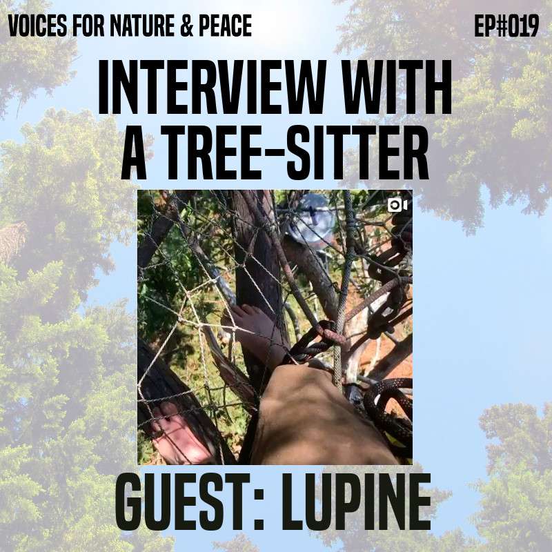 Voices for Nature & Peace