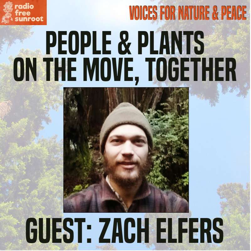 Voices for Nature & Peace