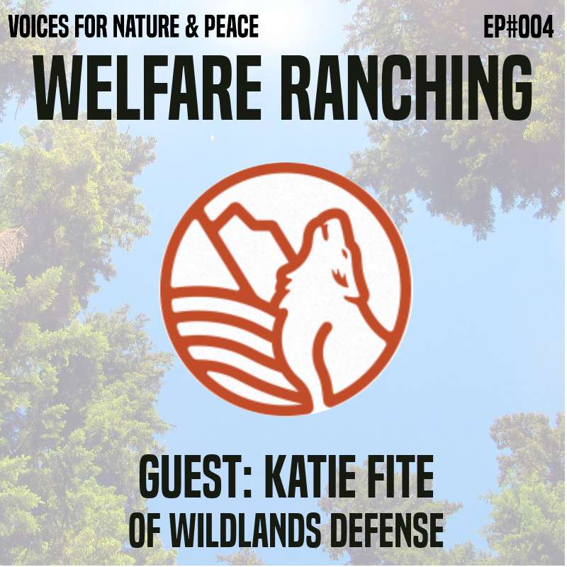Voices for Nature & Peace