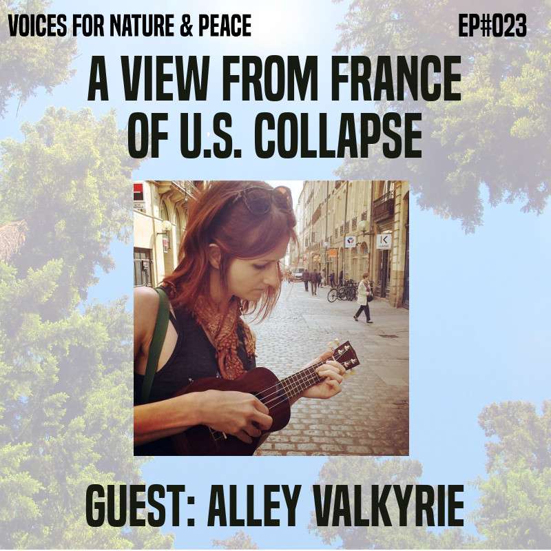 "A View from France of US Collapse" feat. Alley Valkyrie