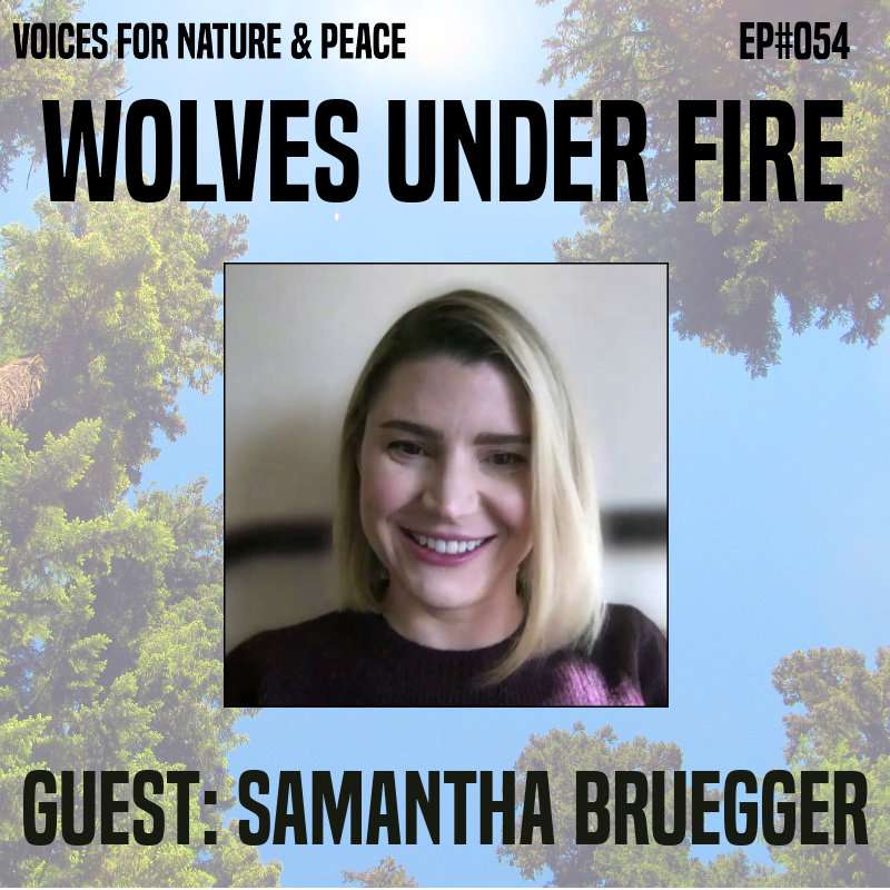 Voices for Nature & Peace