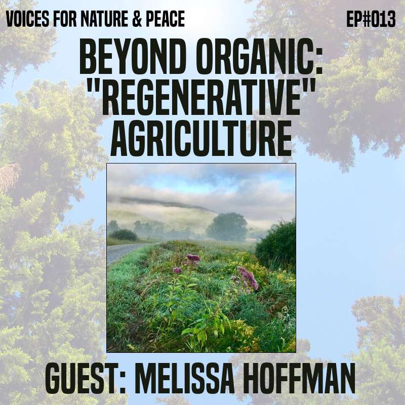 Voices for Nature & Peace