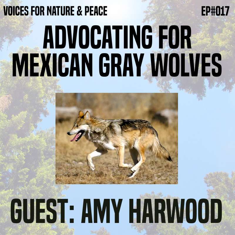 Voices for Nature & Peace