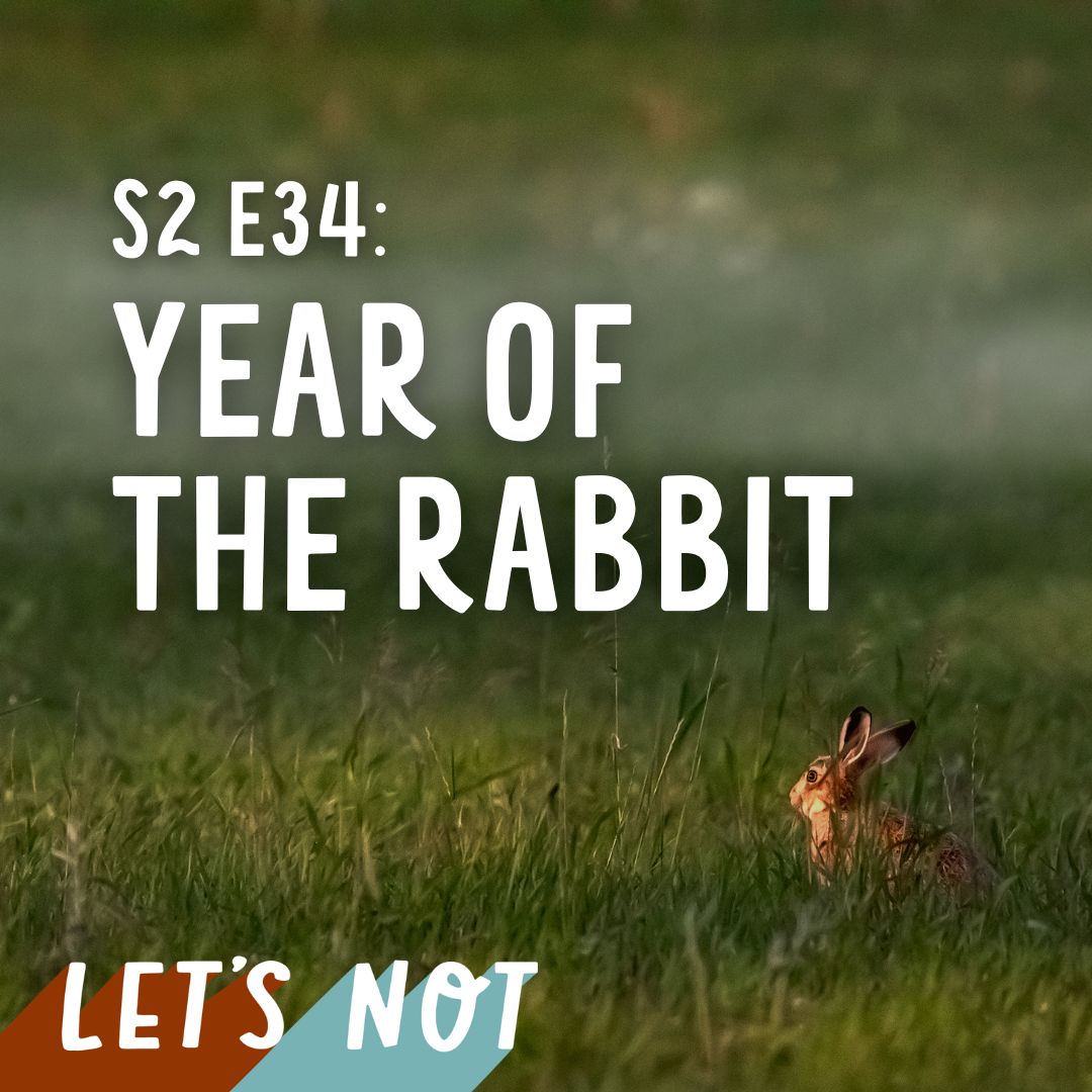 Let\'s Not