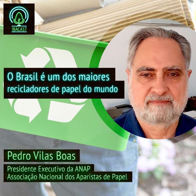 O Brasil é um dos maiores recicladores de papel do mundo
