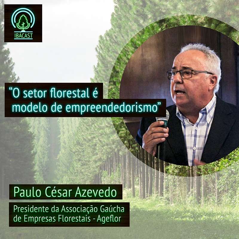 O setor florestal é modelo de empreendedorismo