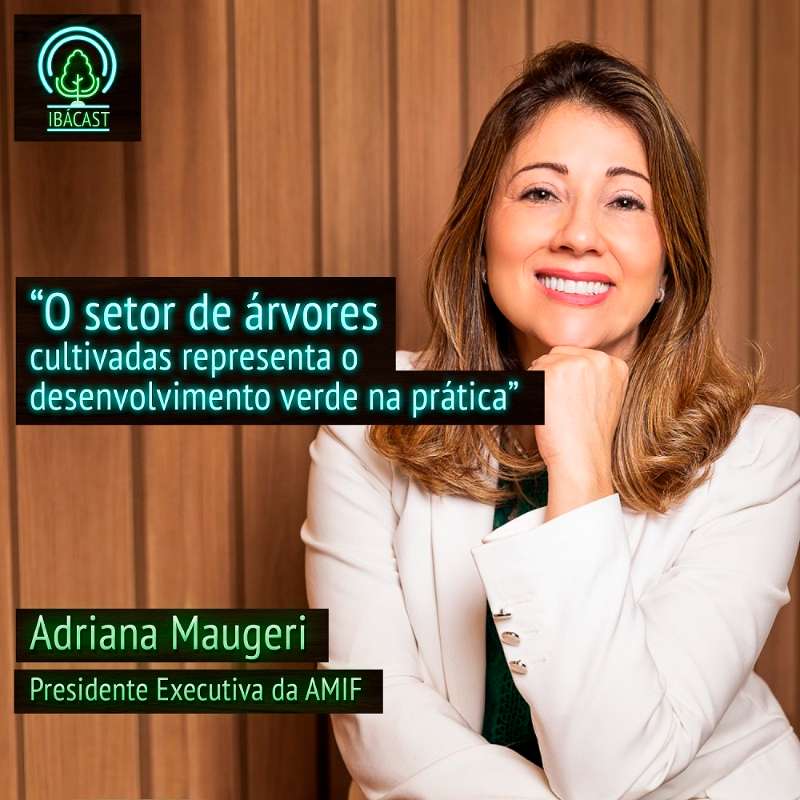 O setor de árvores cultivadas representa o desenvolvimento verde na prática