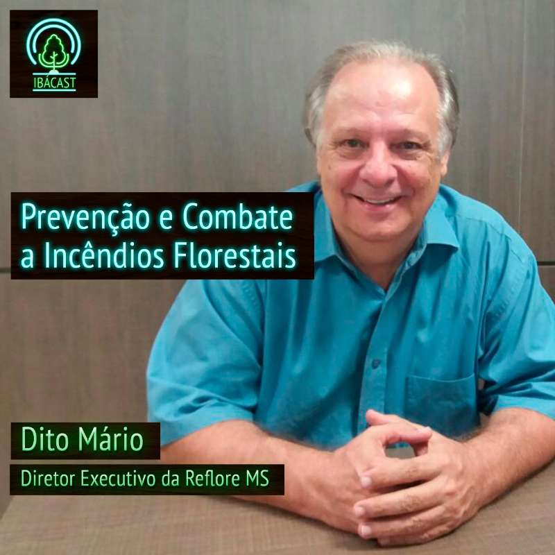 Prevenção e combate a incêndios florestais