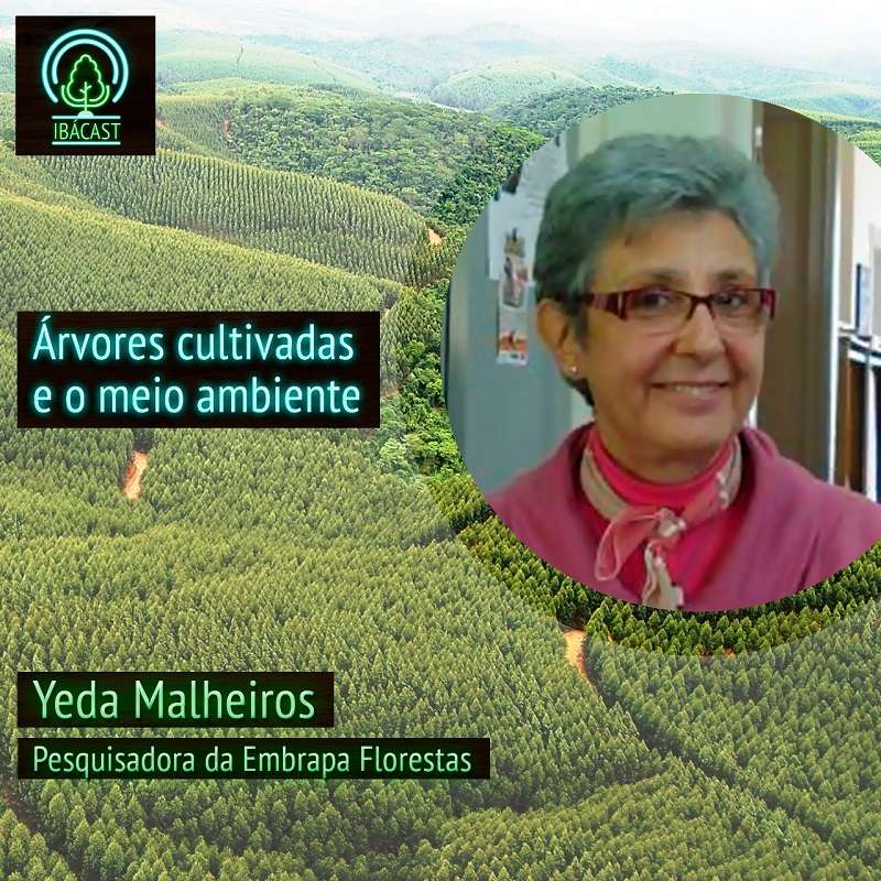 IbáCast