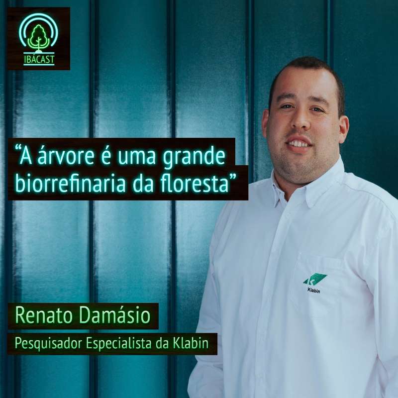 A árvore é uma grande biorrefinaria da floresta