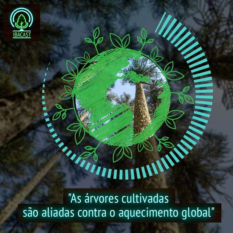 IbáCast