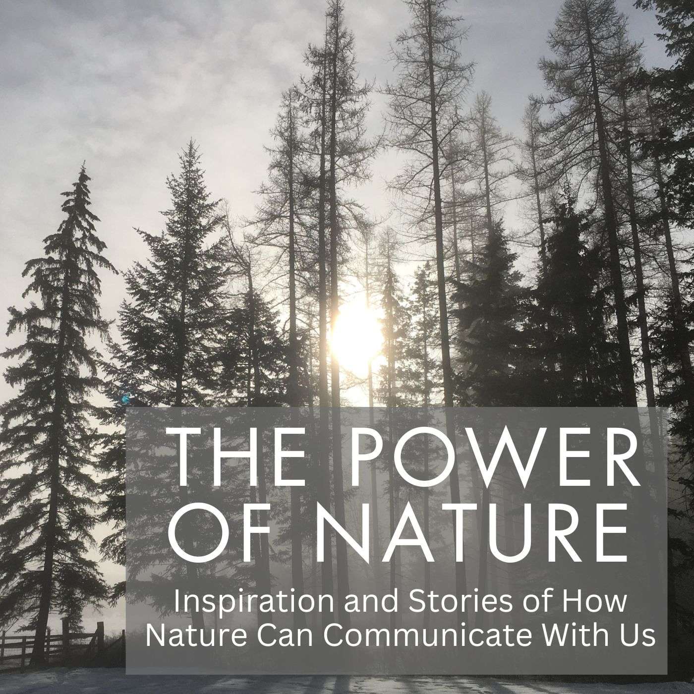 Power of Nature - Inspiration & Stories of How Nature Can Communicate With Us