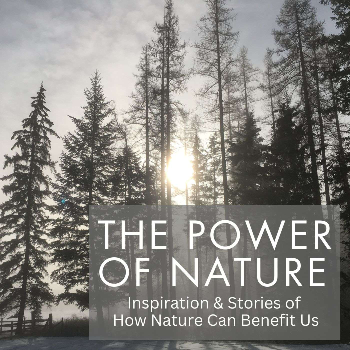 Power of Nature - Inspiration & Stories of How Nature Can Communicate With Us