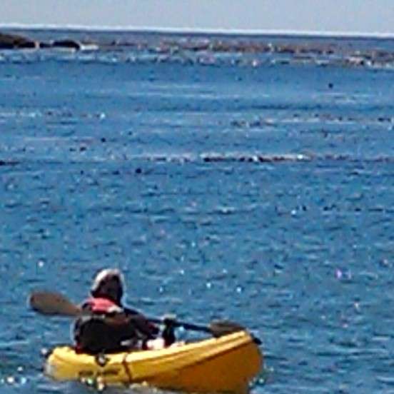 Internet Romance Scammers -Plus More