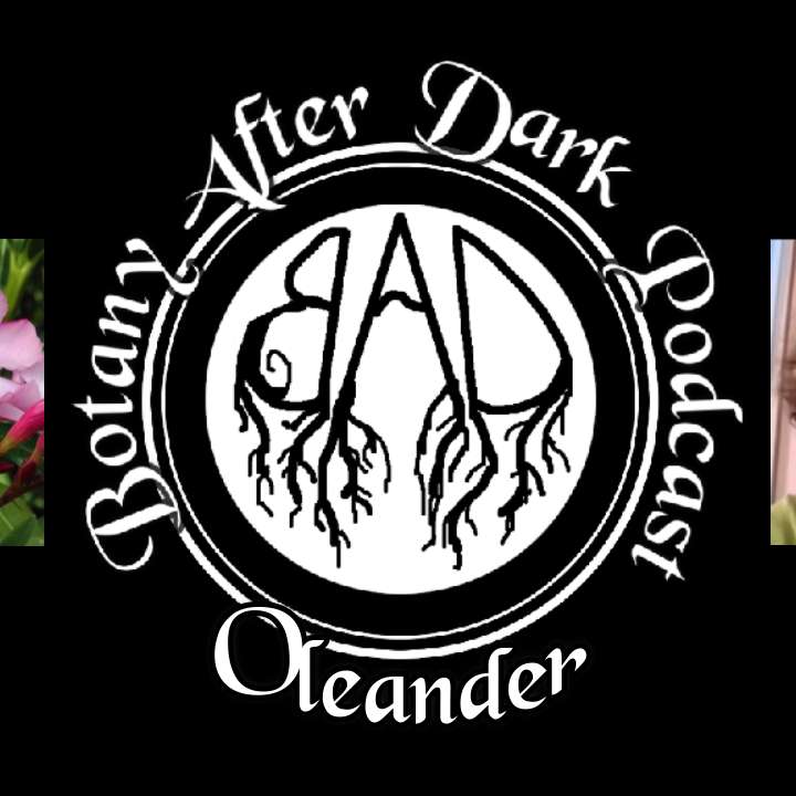 Oleander, Oleandrin, and Covid-19 | Botany After Dark, Epi 9