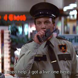 Bill and Ted Minute
