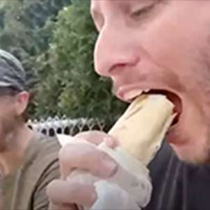 Sandwich Talk