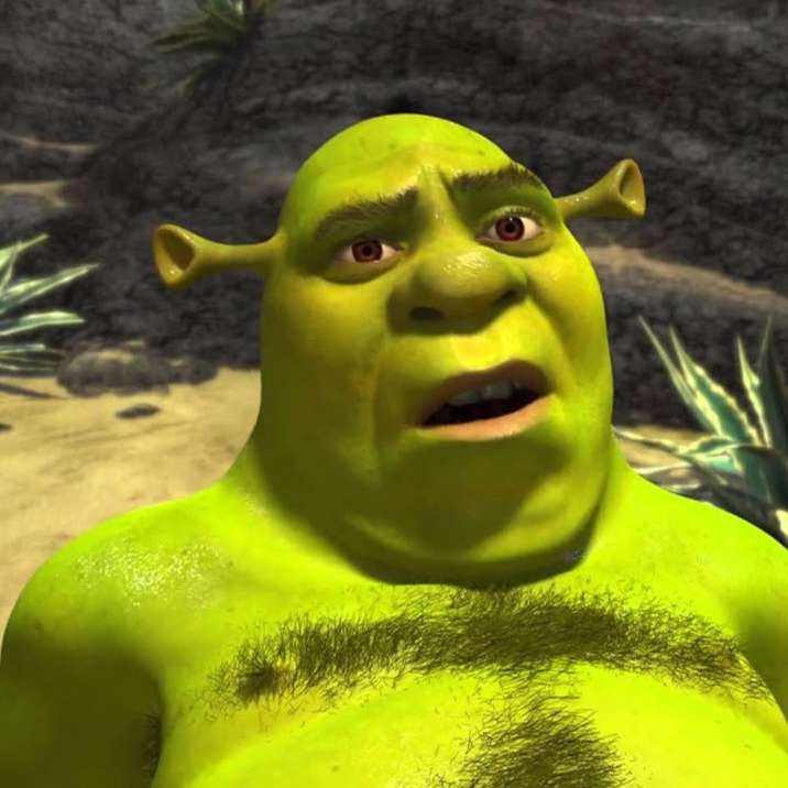 #6 Shrek, jego bagno, Turnus na Wolskiej episode artwork