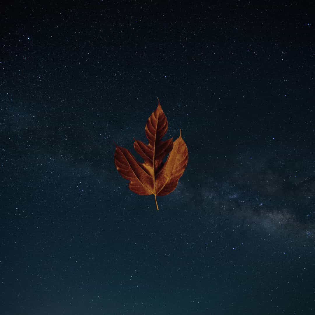 cluster | coalition audio