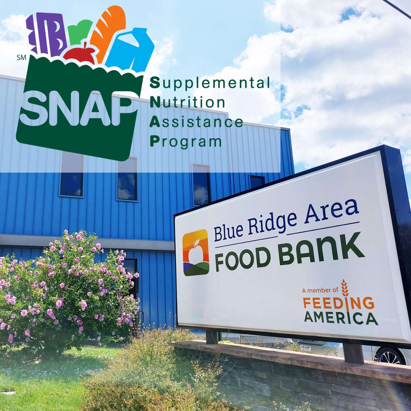 Food assistance is confusing! This episode can help