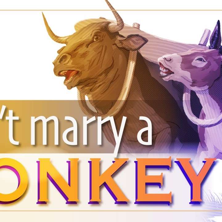 Don't Yoke an Ox & Donkey: The best relationship advice ever!? - Strange Laws of the Bible