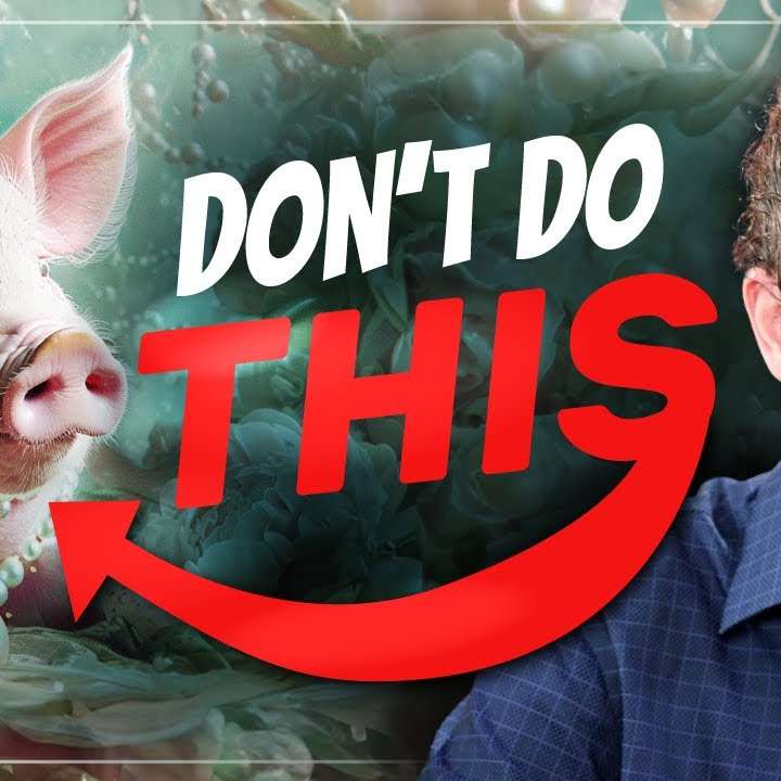 Stop casting pearls before pigs! - Who was Jesus talking about?