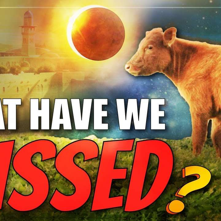 Red Heifers & Eclipses: The Temple Prophecy we're missing - Torah Portion: Tzav