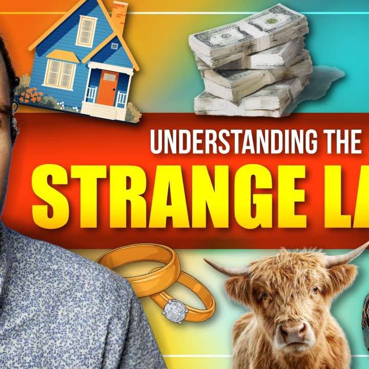 VERSE by VERSE: The 'Strangest' Bible Laws… That actually make sense — Torah Portion: Ki Tetze