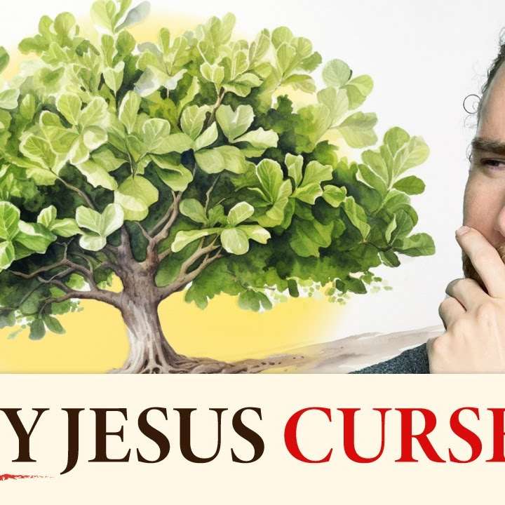 Bearing Fruits of the Holy Spirit - Parable of the Fig Tree