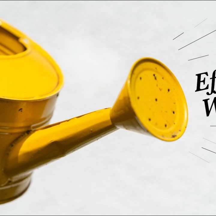 ╫ Watering People For Jesus: 4 Tips & Warnings [PODCAST]
