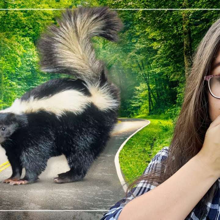 The Skunk that Died! - Do you stink? [PODCAST]