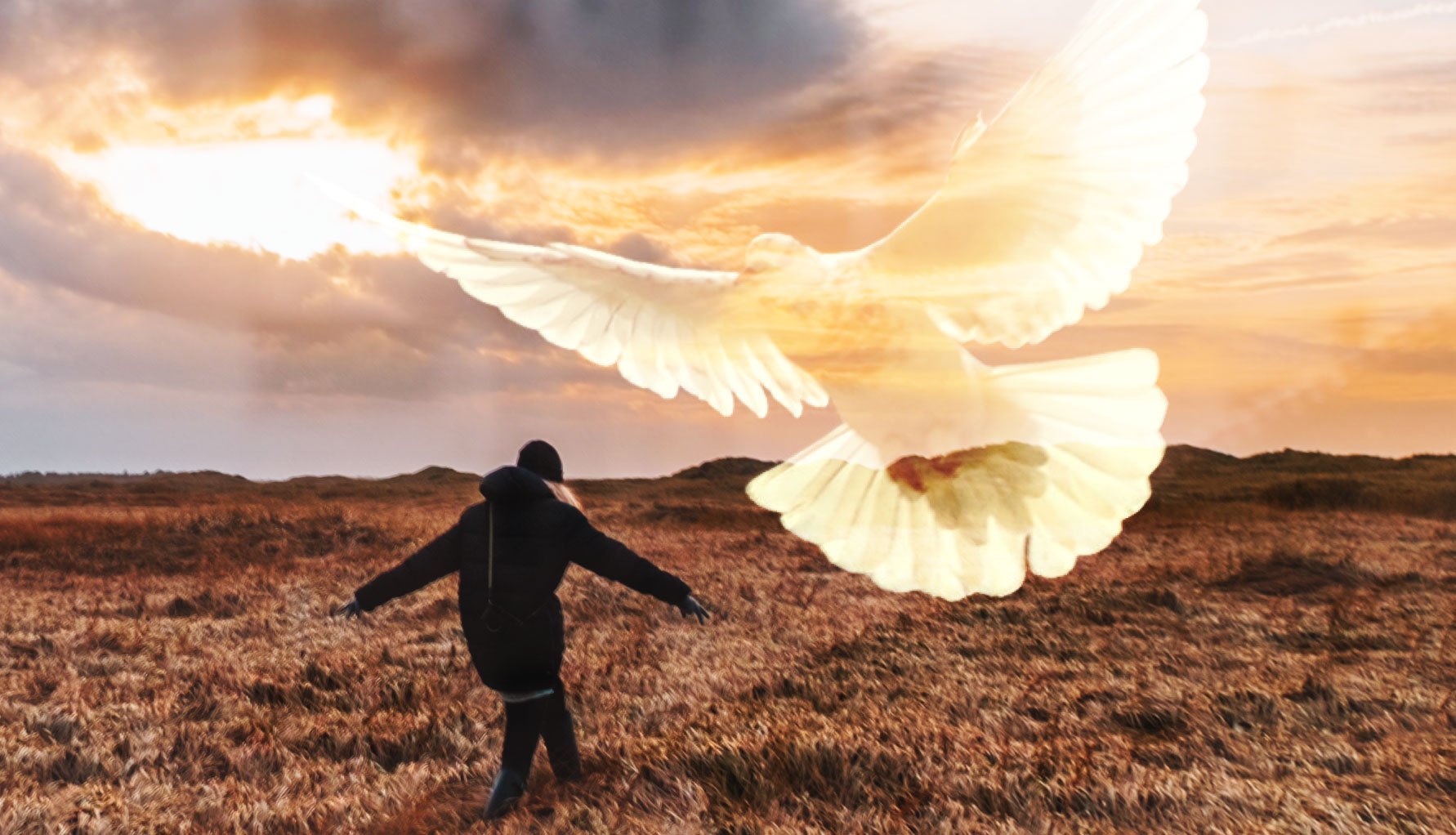 ╫ Walking in the Spirit - Romans Series (Chapt. 7 - 9) [PODCAST]