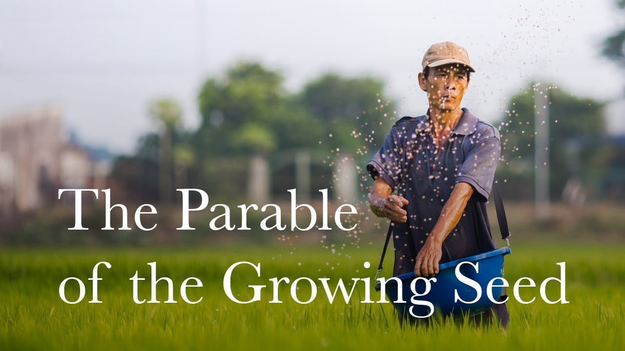 ╫ Let God Bring The Increase - The Parable of the Growing Seed [PODCAST]