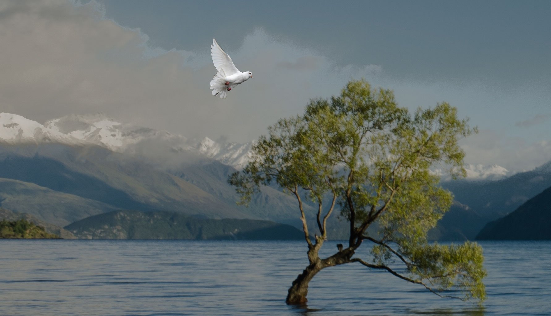 ╫ [FIXED] The Prophetic Mystery of Noah's Dove: Spirit & Truth - Torah Portion: Noah [PODCAST]