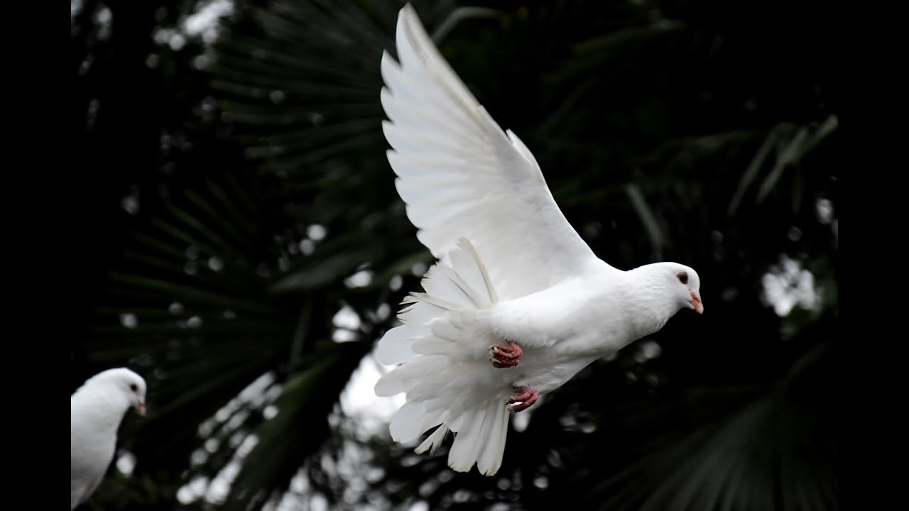 ╫ Practical Tips - Walking in the Spirit & Outreach (Lifestyle Evangelism) [PODCAST]