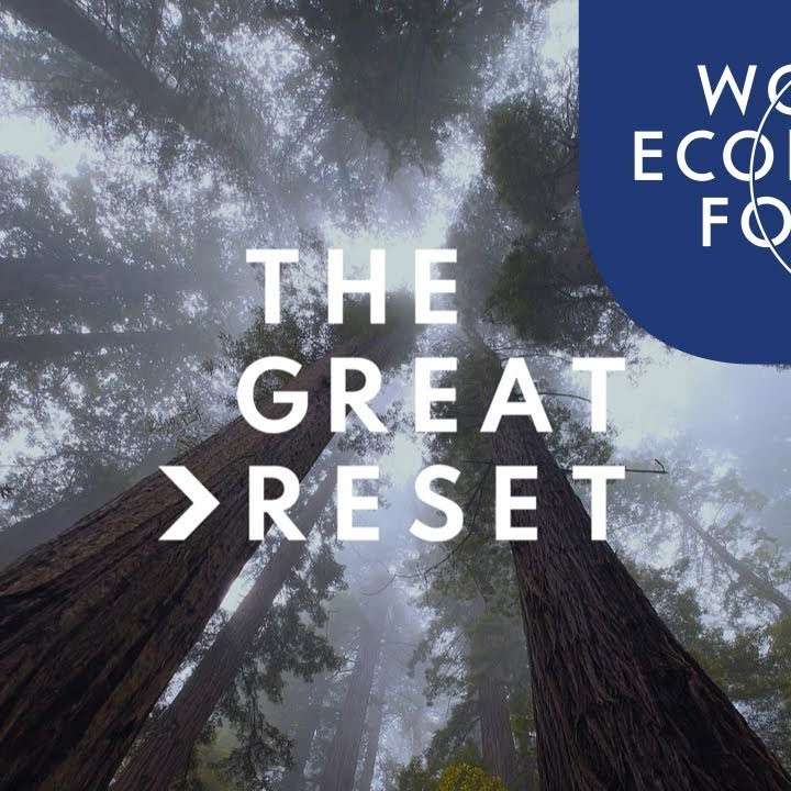 Get Ready for the Border Crisis and Global Reset Starting Now episode artwork