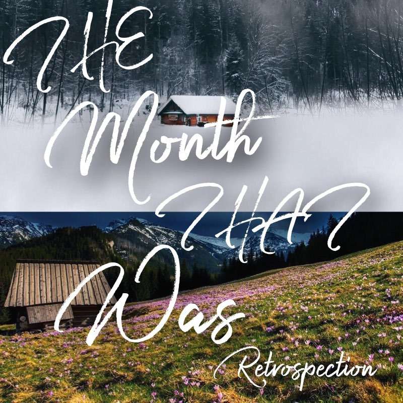 The Month That Was Retrospection