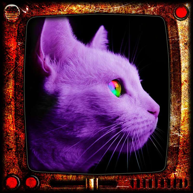 Copycat - Fantasy Short Story - by Jason Hoyt