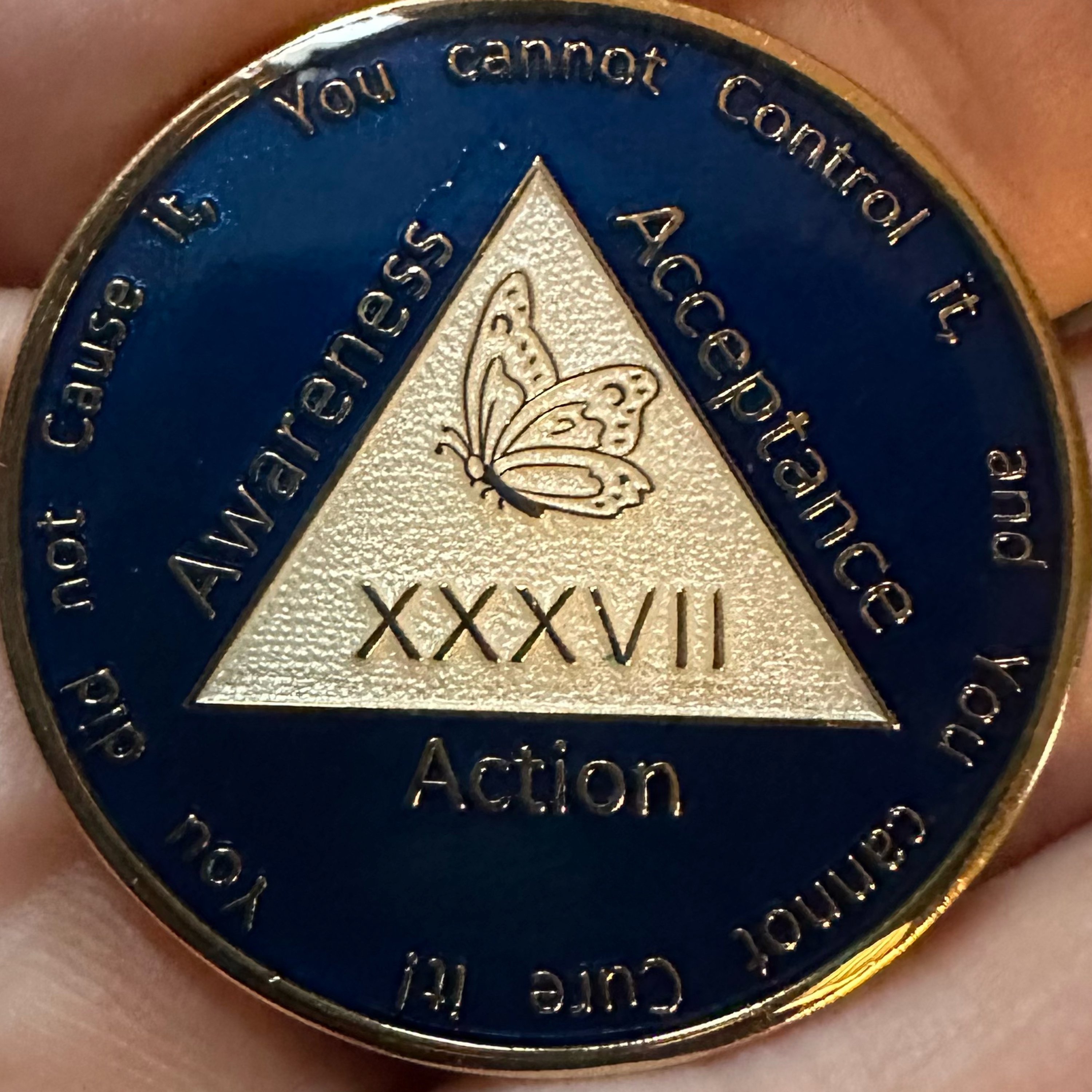 A Meeting in Progress