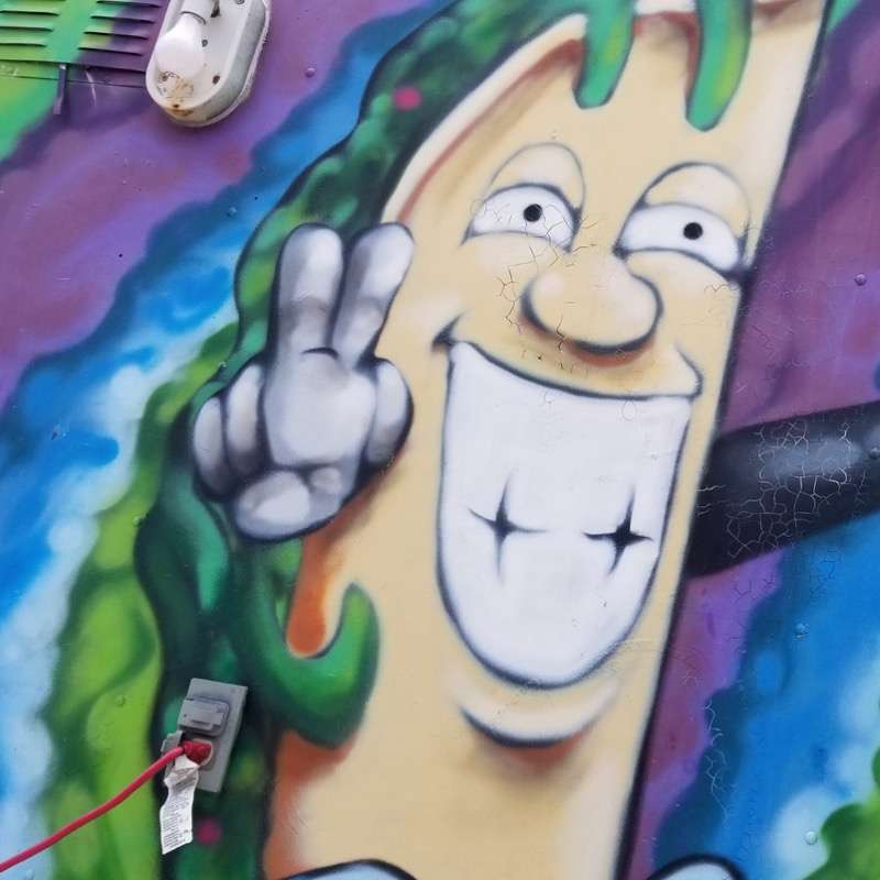 Springfood Media