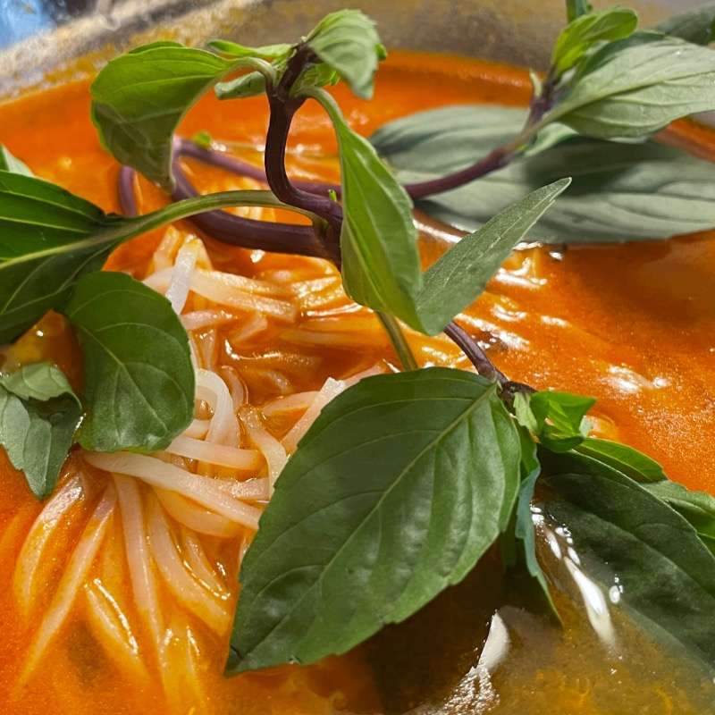 Springfood Media