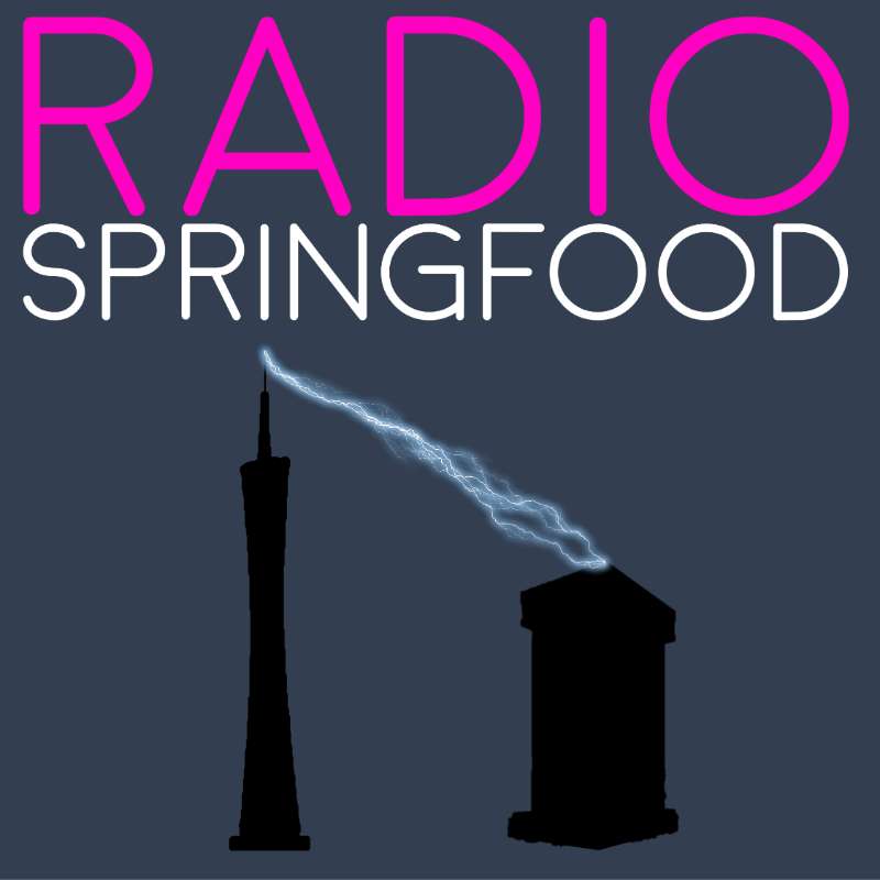 E4 Radio Springfield Vol. 4: Bands That No Longer Exist
