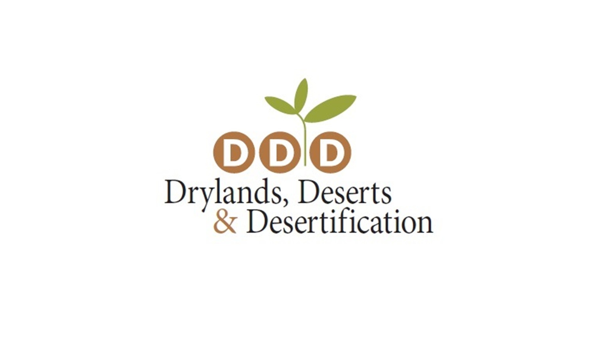 Voices from the DDD conference 2025