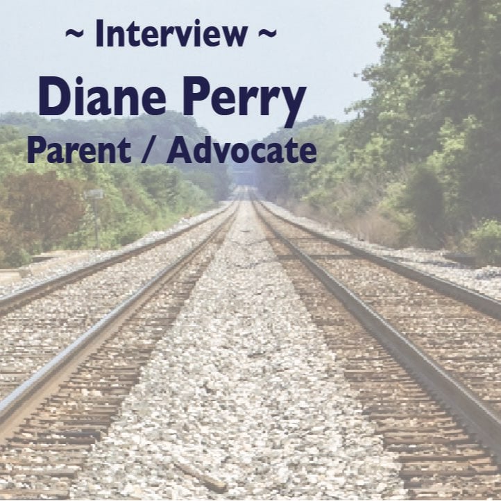 S1E2 - Interview With Diane Perry - Parent / Advocate