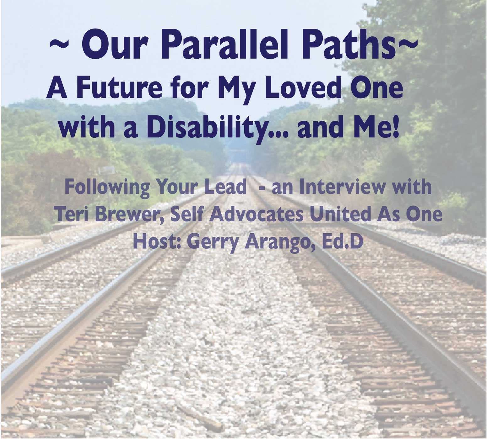 S3E4 - Following Your Lead - an Interview with Teri Brewer