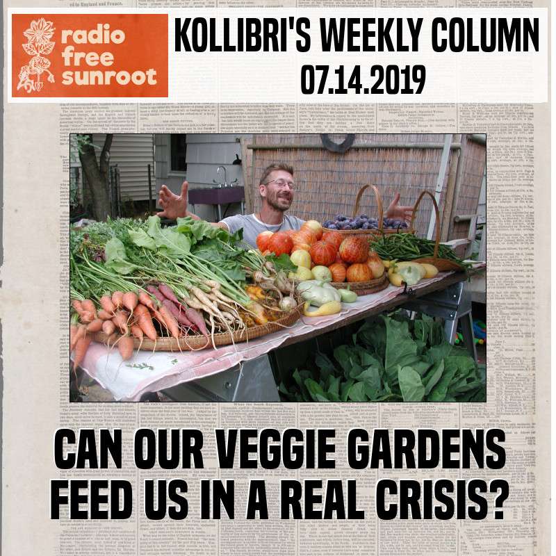 Kollibri\'s Weekly Column